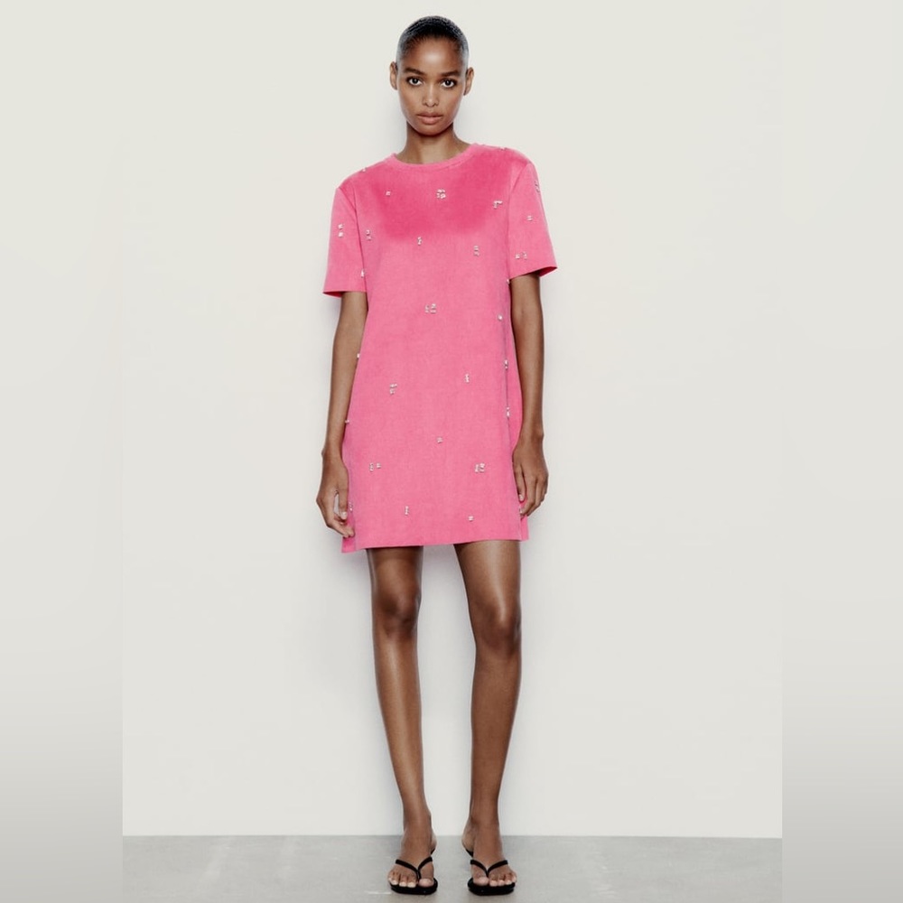 Zara Faux Suede Jewel Dress